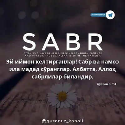 Sabr После Терпения Красивые Вещи Ждут Исламские Цитаты Корана — стоковая  векторная графика и другие изображения на тему Абстрактный - iStock