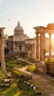 Обои Roman Forum in Rome Italy для iPhone 7