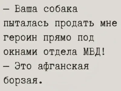 Юмор за день и не так, как раньше | Mixnews | Веселые картинки, Юмор,  Фотография юмор