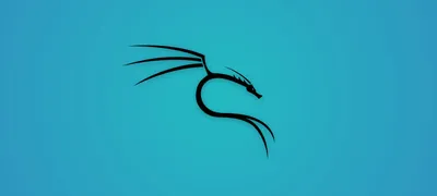 Black background Kali Linux Desktop wallpapers 600x1024