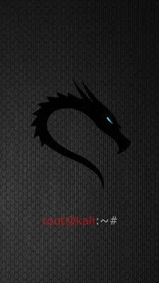 Kali Linux Android Wallpapers - Wallpaper Cave