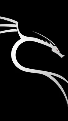 Download \"Kali Linux\" wallpapers for mobile phone, free \"Kali Linux\" HD  pictures