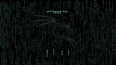 Kali Linux Phone Wallpapers - Top Free Kali Linux Phone Backgrounds -  WallpaperAccess