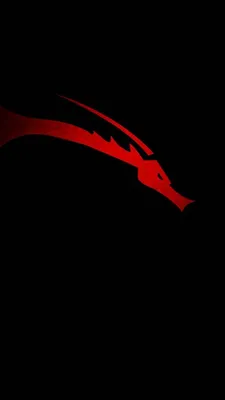 Kali Linux Android Wallpapers - Wallpaper Cave