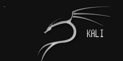 Большой игровой коврик для мыши Kali Linux | AliExpress