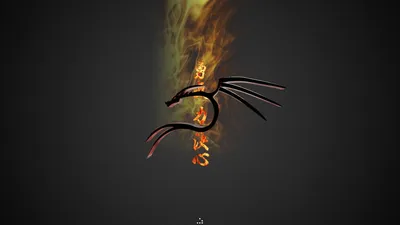 Kali Linux Android Wallpapers - Wallpaper Cave