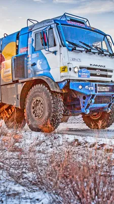 Фотообои \"Kamaz и бездорожье\" - Арт. 220175 | Купить в интернет-магазине  Уютная стена