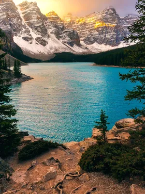 Mobile wallpaper: Lakes, Mountain, Lake, Canada, Earth, Moraine Lake, Banff  National Park, 1164628 download the picture for free.