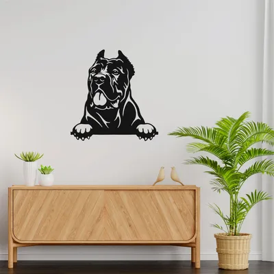 Cane Corso - Desktop Wallpapers, Phone Wallpaper, PFP, Gifs, and More!