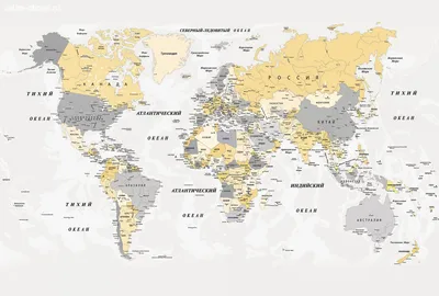 Фотообои флизелиновые Карта мира с животными 400х270 см купить недорого в  интернет-магазине товаров для декора Бауцентр