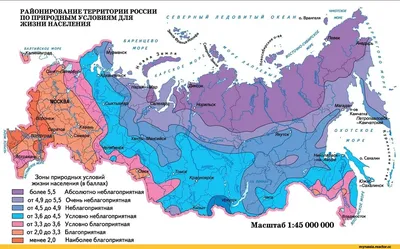 Огромная настенная карта России