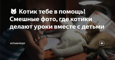 А как вообще получилось, что синички любят сало.То есть где у них в дикой  природе была возможность / Сало :: синичка :: Приколы про еду :: птицы ::  картинка с текстом ::