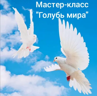 Онлайн-акция «ГОЛУБЬ МИРА» пройдет в Краснодарском крае - 23 Июня 2020 -  Управление образования Туапсинского района