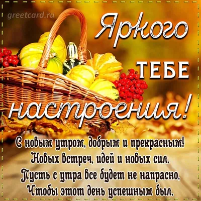 Хорошего осеннего дня и отличного настроения🍂 | Открытки Тедди | ВКонтакте