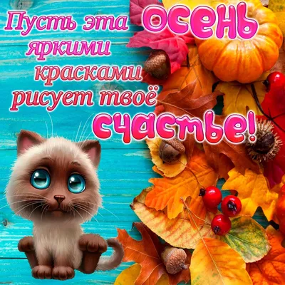 Хорошего осеннего дня 🍁 | Good morning, Good morning photos, Friendship