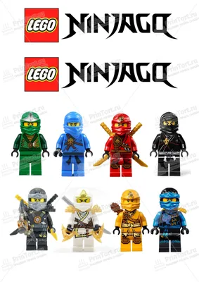 LEGO Ninjago Сила Дракона Нии: Дрейф Кружитцу 71778 купить в ОГО! | 378051  | цена | характеристики