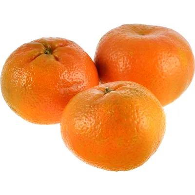 Семена Сладкий мандарин (Citrus reticulata) - Цена: €2.05