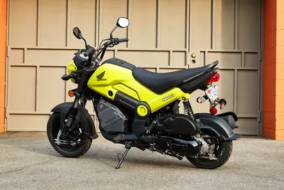 2023 Honda Navi First Look Preview | Motorcyclist