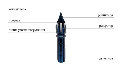 две ручки из коричневого пера, перо для бумаги с чернилами, куриные  декоративные узоры, животные, геометрический образец png | PNGEgg