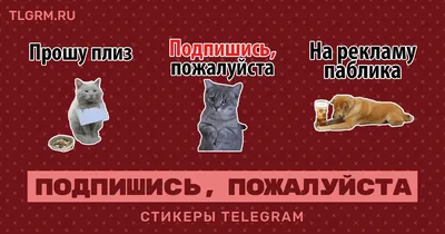 Как сказать на Английский (американский вариант)? \"подпишись на мой  инстаграм\" | HiNative