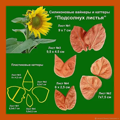 Семечка подсолнуха неочищенная купить в Минске