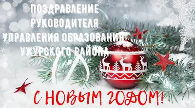 Поздравление секретаря регионального отделения «Единой России» Владимира  Камеко с Новым годом