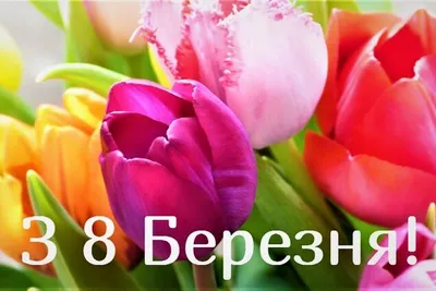 Поздравляем с 8 Марта! - 6 Марта 2016 - DTDM-KBR