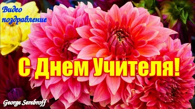 Стихи на день учителя классному руководителю | День учителя, Учитель,  Открытки