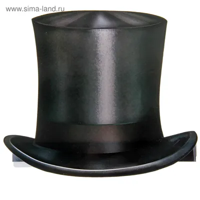 Шляпа ковбойская 3598102 WESTERN (черный) Stetson 10615054 купить за 17 990  ₽ в интернет-магазине Wildberries