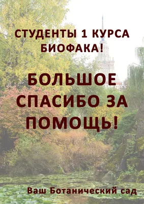 Благодарность депутату И.Н.Карнилину за помощь в установке новых окон в  детском саду № 152 | Городская Дума Нижнего Новгорода