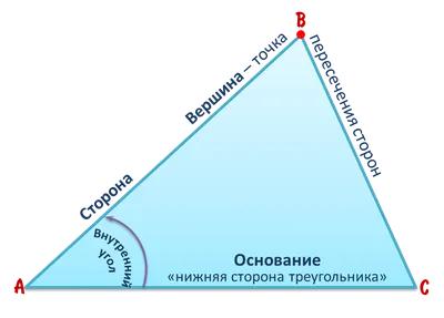 Опасный треугольник лица — Институт Анатомии