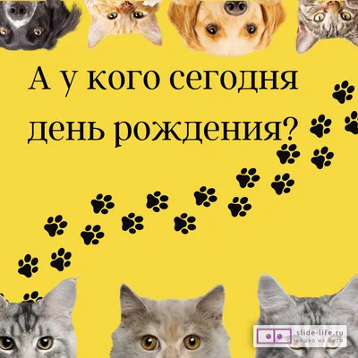 У кого сегодня день рождения: 25 сентября - Экспресс газета