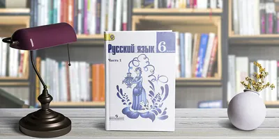 Цитаты из нового учебника истории: О перестройке, возрождении нацизма и  террористических методах США - KP.RU