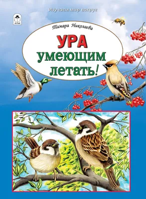 Наклейка оформительская \"Ура мальчик!\", 176х336 мм., ПВХ. купить по  выгодной цене в интернет-магазине OZON (258948658)