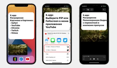 Как смотреть YouTube в режиме «Картинка в картинке» на iPhone в iOS 14 без  рекламы