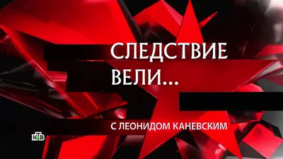 В программе «Следствие вели» вышел сюжет про саратовского маньяка - KP.RU