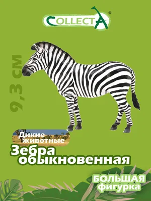 Купить картину Зебра в Москве от художника Скорняков Александр