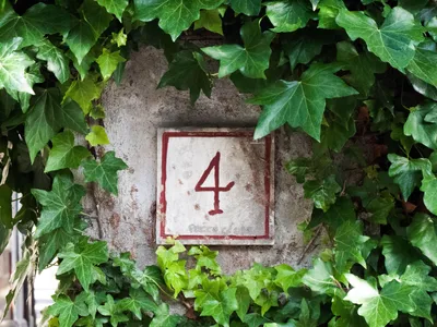 444 Angel Number Meaning, According to Numerology