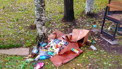 В Сыктывкаре развесили объявления об отлове алкашей (фото)