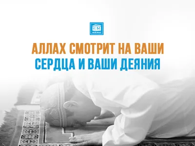 Как необходимо уверовать в Аллаха? | Ислам в Дагестане