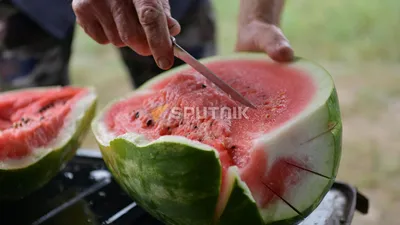 Кусок арбуза стоковое фото. изображение насчитывающей зрело - 34013686