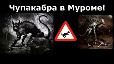 Когда твоя собака чупакабра | Пикабу