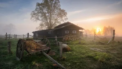 Летний вечер в деревне | Пикабу