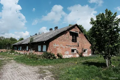 Красивая деревня в Нижегородской области, в которой живет мало людей,  приезжайте, стройтесь и живите | Под зонтиком | Дзен