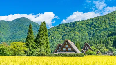 Деревни - это не только жильё, но и жизнь» — создано в Шедевруме