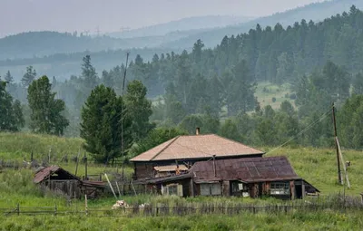 Деревни исчезли, Сеп выжил | Такие Дела