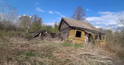 Причины исчезновения русской деревни в XX веке | Родная Вятка