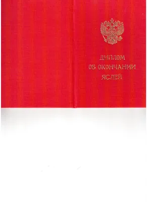 Оформление актуального в Инстаграм. Инструкция и 6 крутых примеров