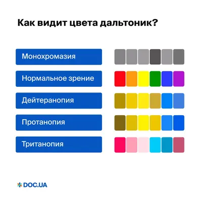 Каким видят мир жители \"острова дальтоников\": 5 фантастических фото