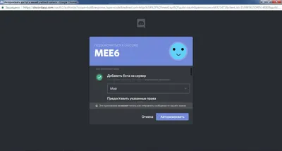 Как Discord случайно придумал будущее интернета | by ThatLilFrog | Medium